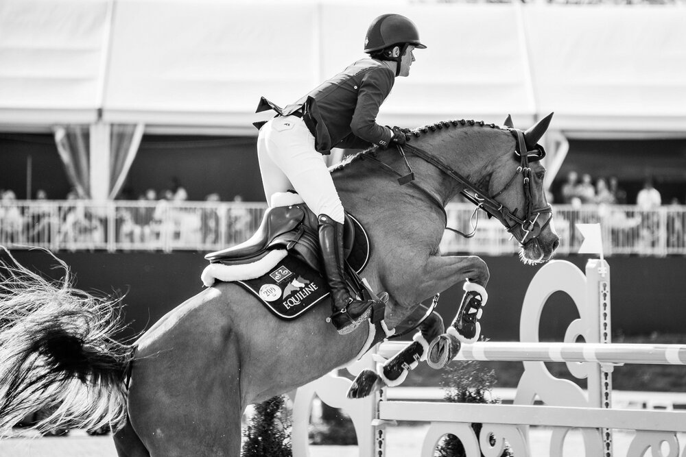black-and-white-show-jumping.jpg