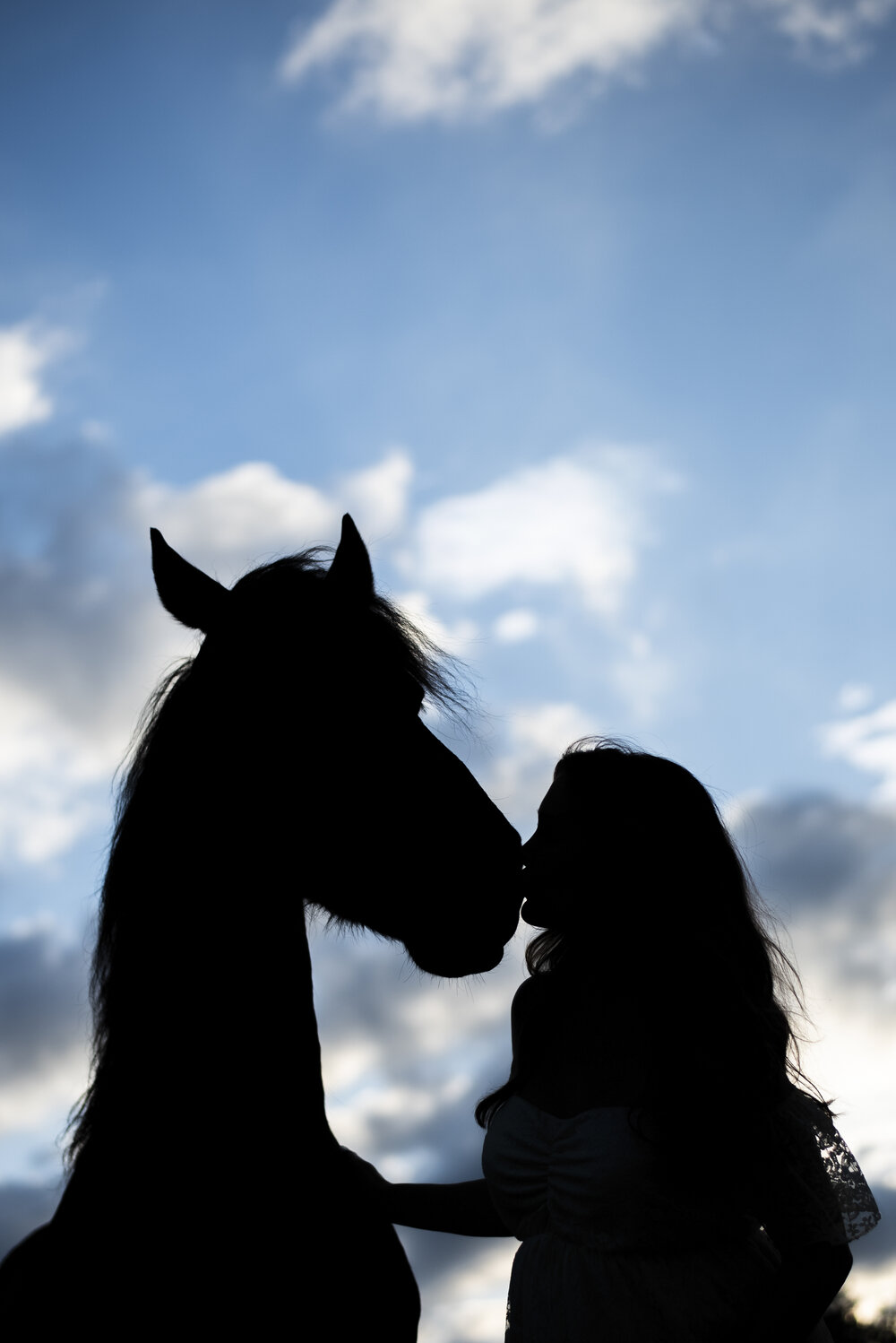 Equine fine art photography of a girl kissing her horse at dusk.