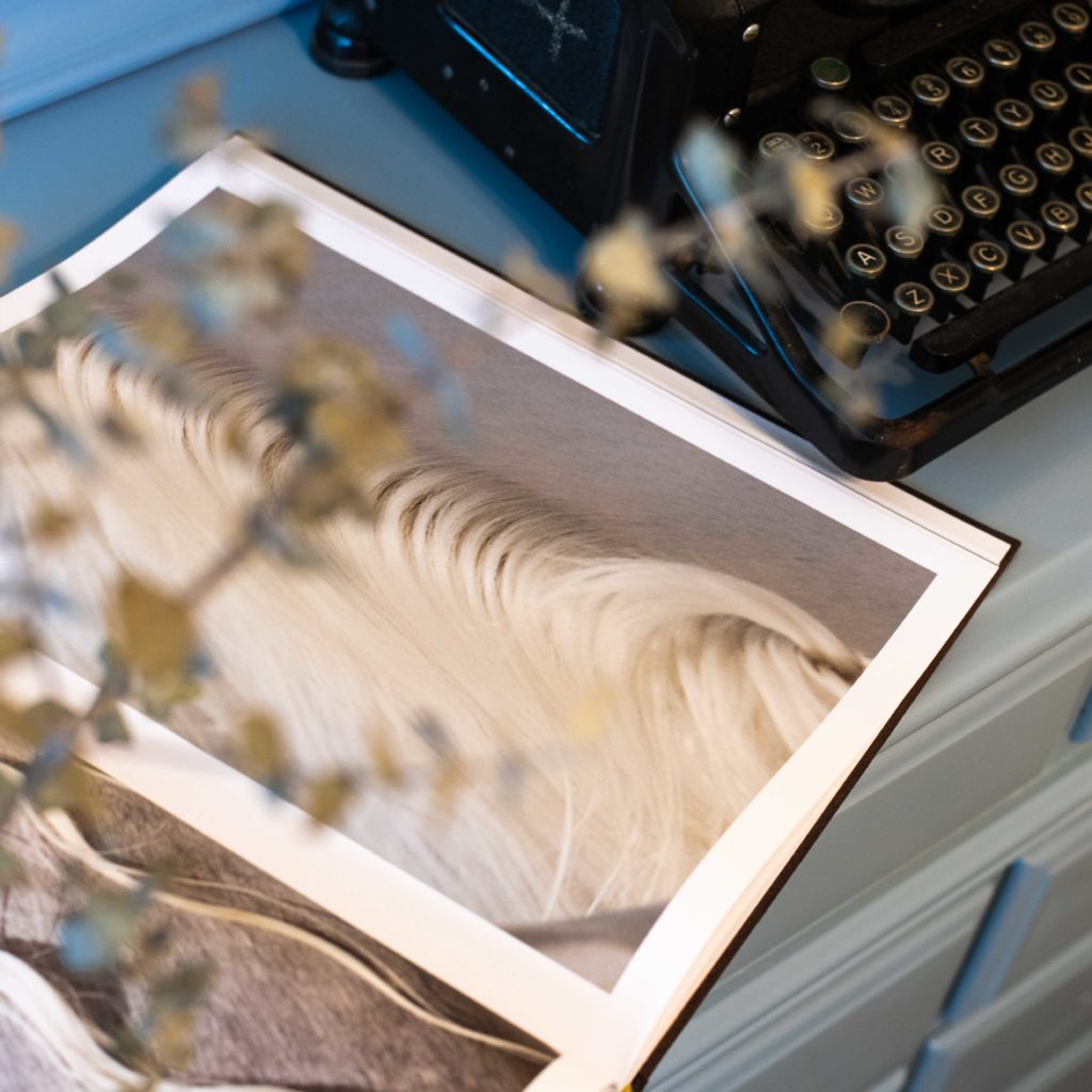 equine fine art photography coffee book on a light blue dresser next to a typewriter and fresh eucalyptus leaves