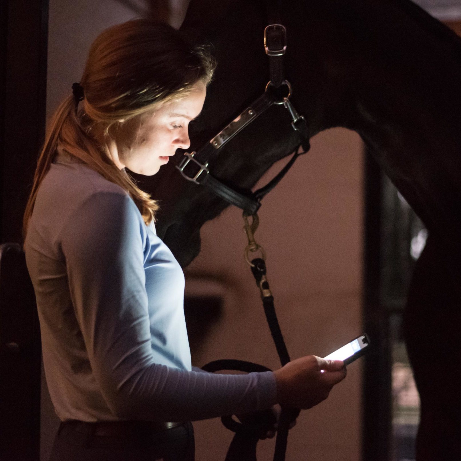 Equine entrepreneurs use task management software to keep their horse business organized.