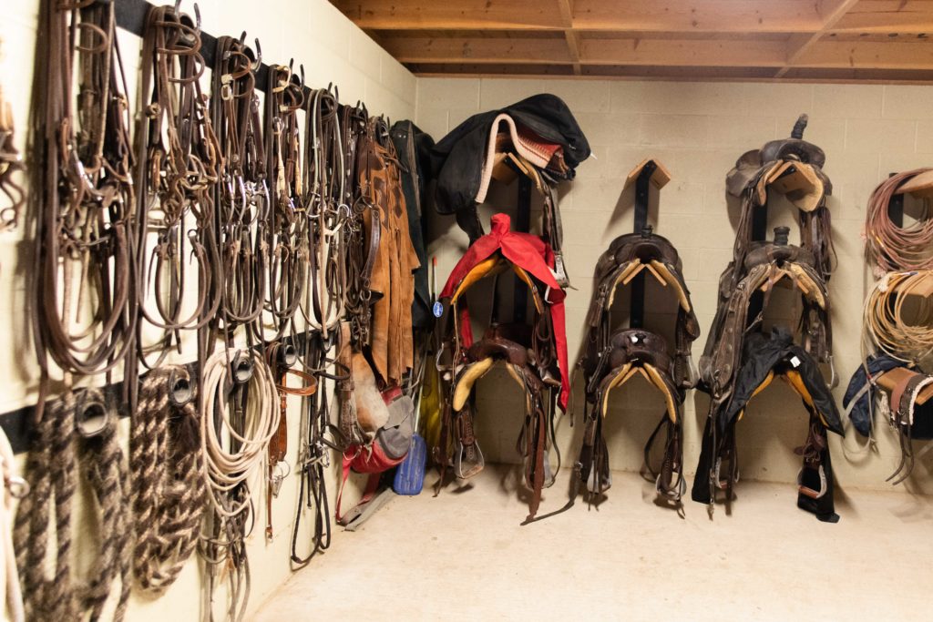 A tack room full of Western bridles and saddles