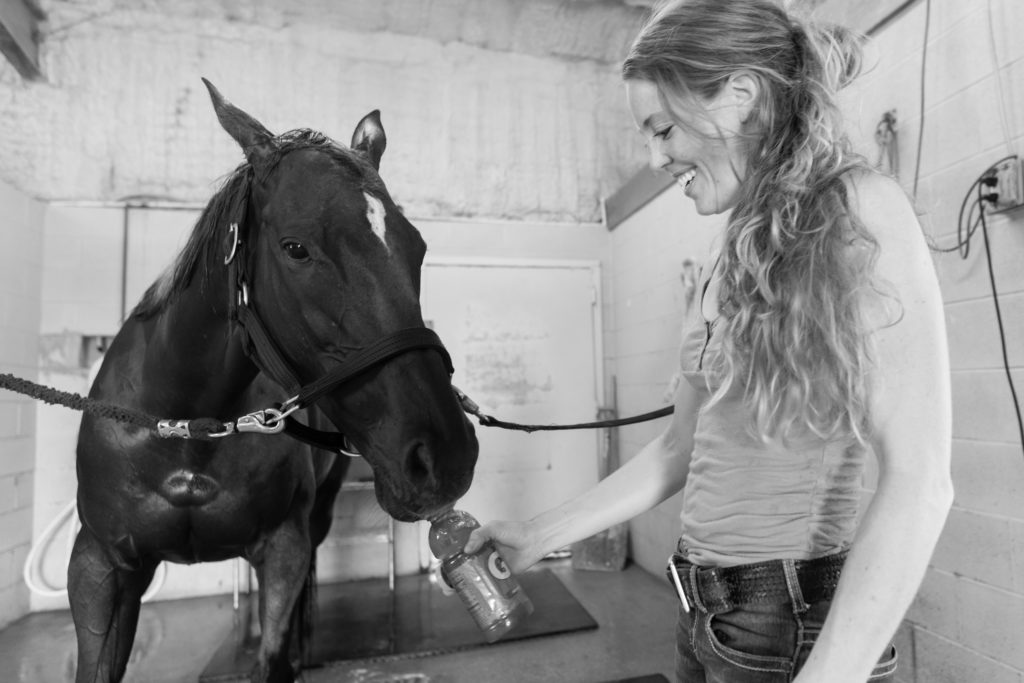 A girl hands her thirsty horse a bottle of Gatorade after a long ride