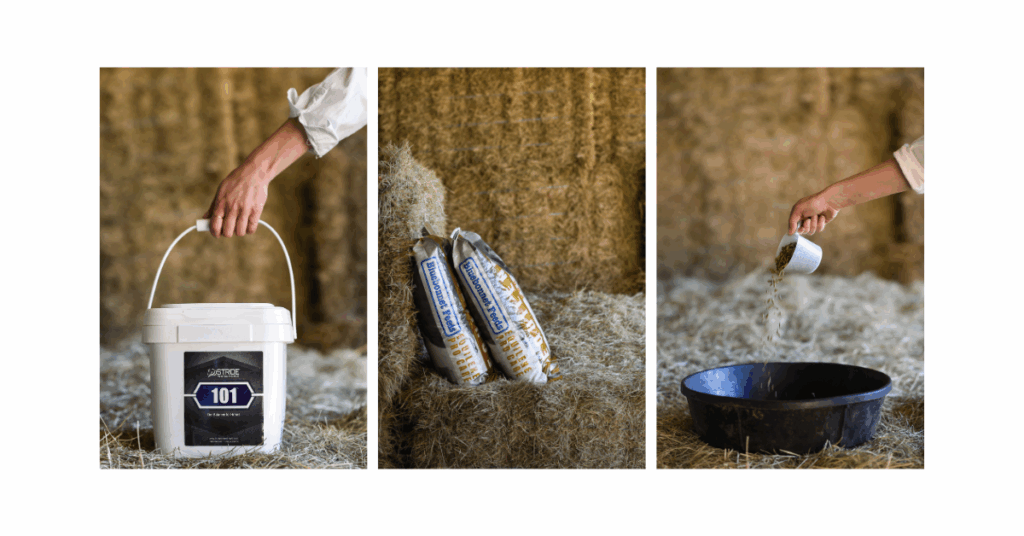 Local Fort Worth branding photographer photographing equine feed packaging for a small business marketing campaign