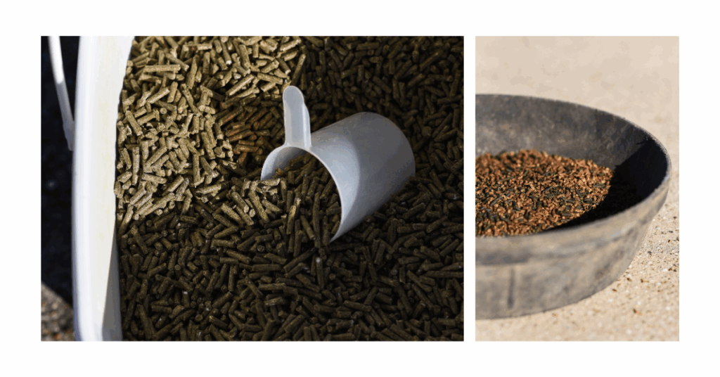 Styled flat lay of equine feed products designed for social media and website use by a small Texas business