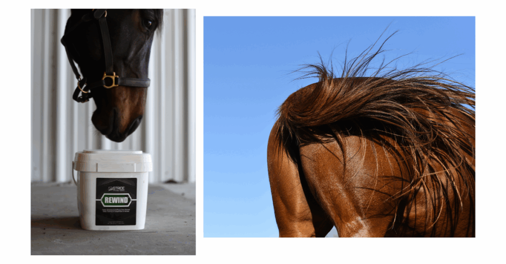 Close-up branding shot of equine feed bag showing texture, ingredients, and packaging details