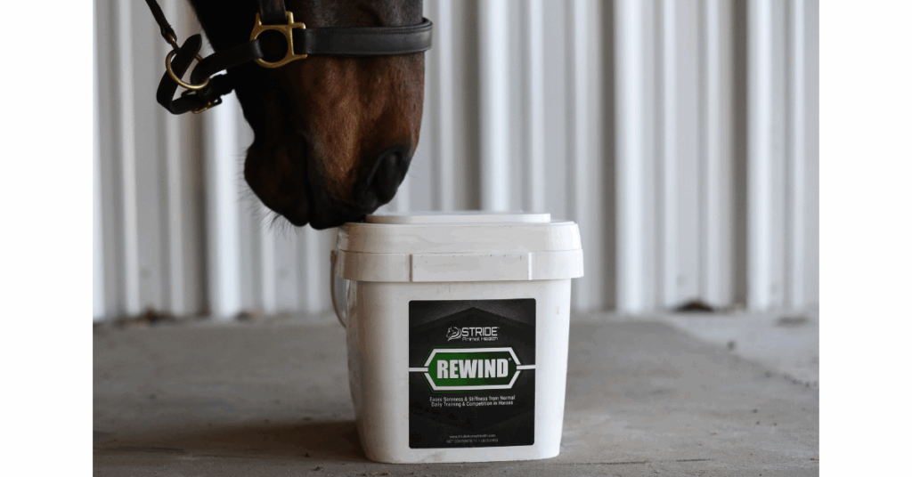 Lifestyle photo showing a small business owner loading equine feed during a storytelling-based branding session