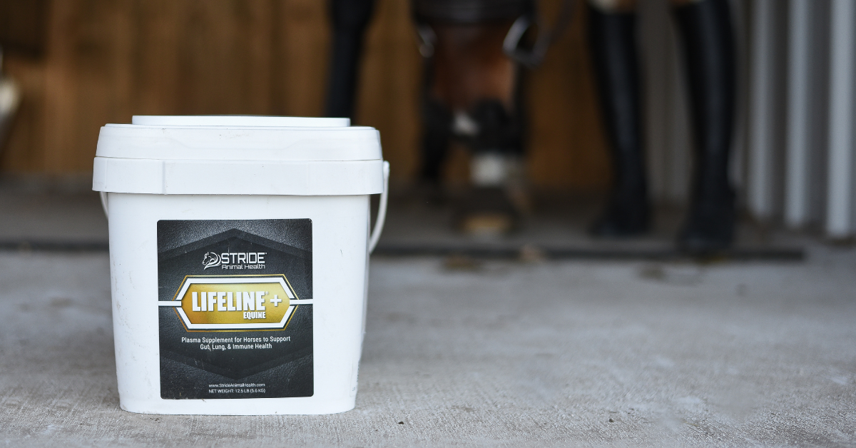 Branding image of a Fort Worth small business featuring equine feed product placement and natural light photography