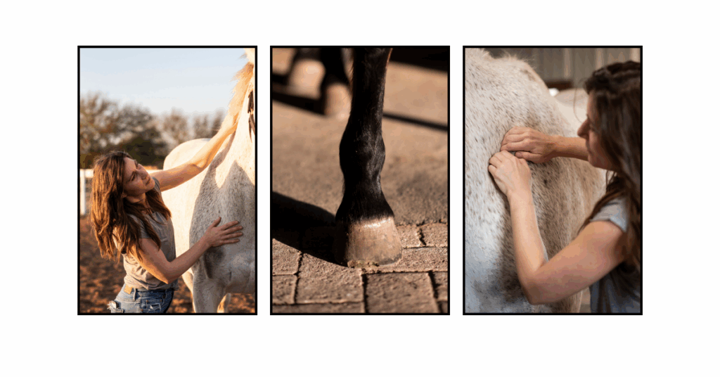 Portrait of an equine therapist business owner and horse during a branding shoot