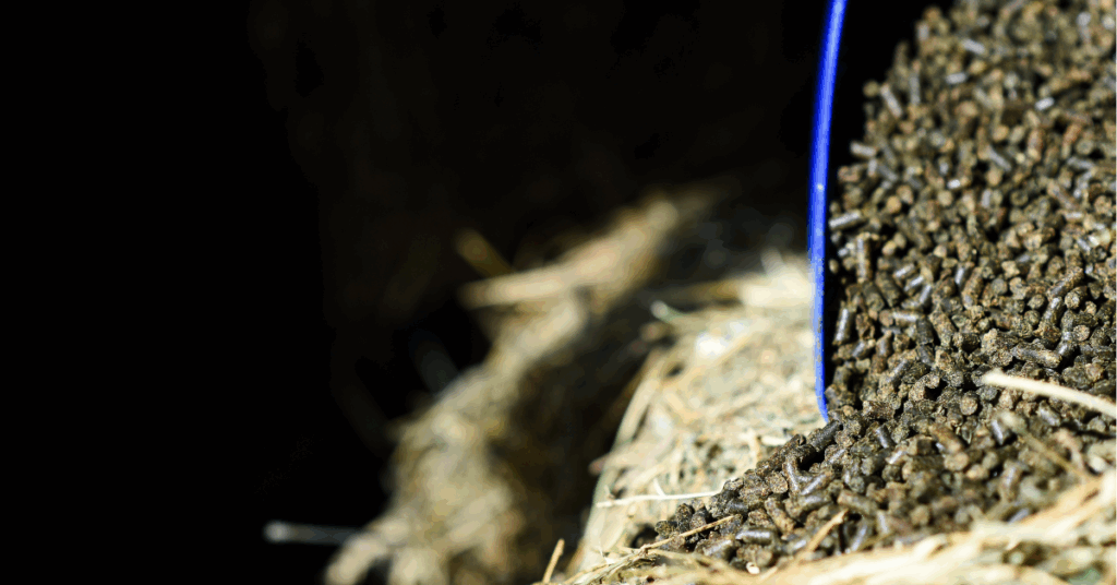 Ongoing content creation for a horse feed brand in Texas, captured by a Fort Worth product photographer